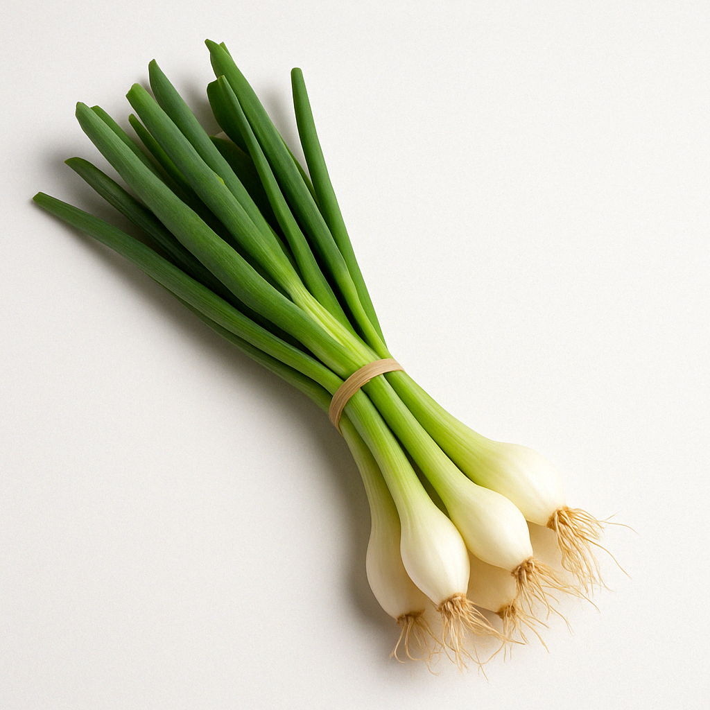 Spring Onion