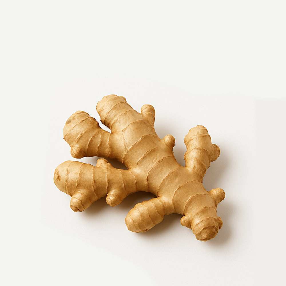 Ginger