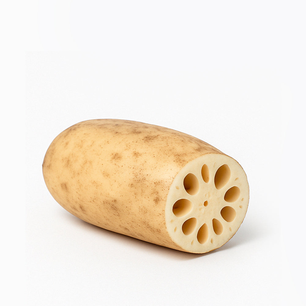 Lotus Root