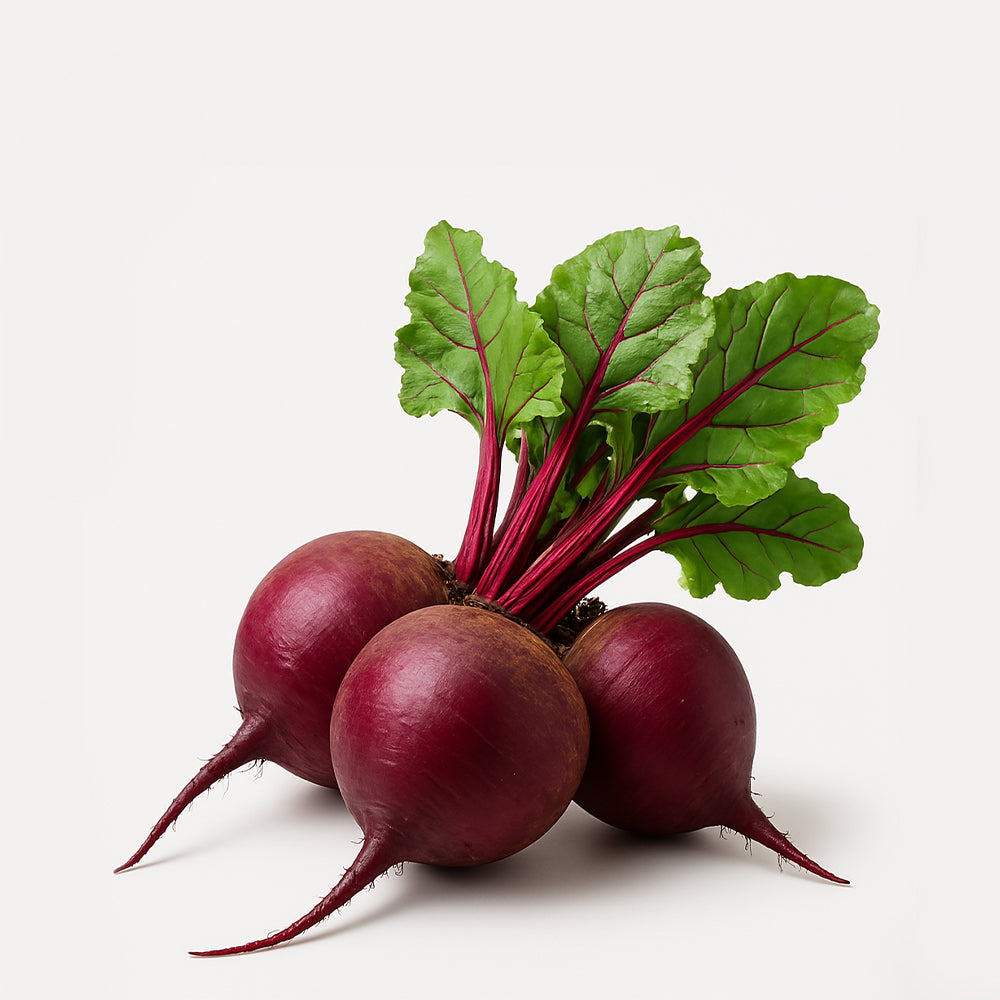 Beet Root
