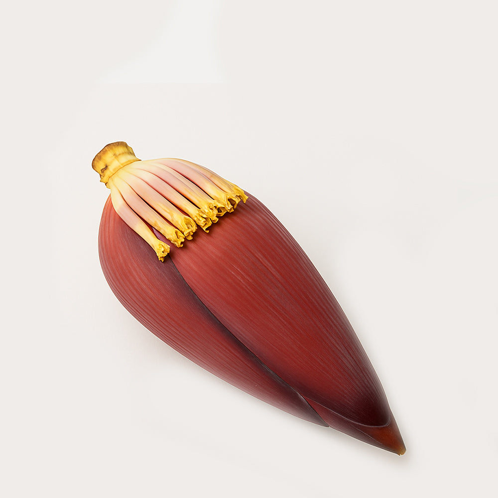 Banana Flower/ Keselmuva