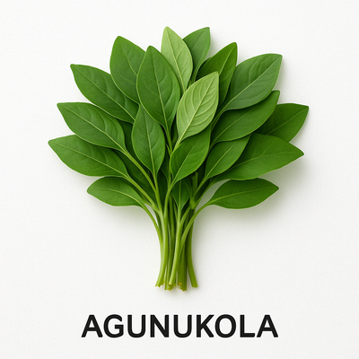 Agunukola