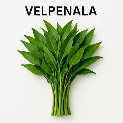 Velpenela