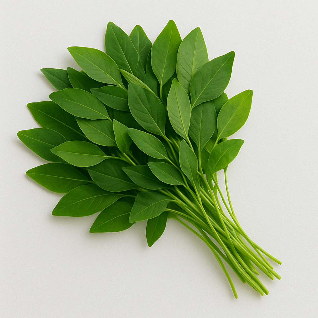 Mukunuwanna Leaves