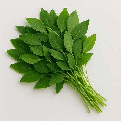 Mukunuwanna Leaves