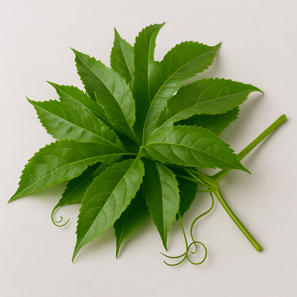 Passion Fruit Leaves