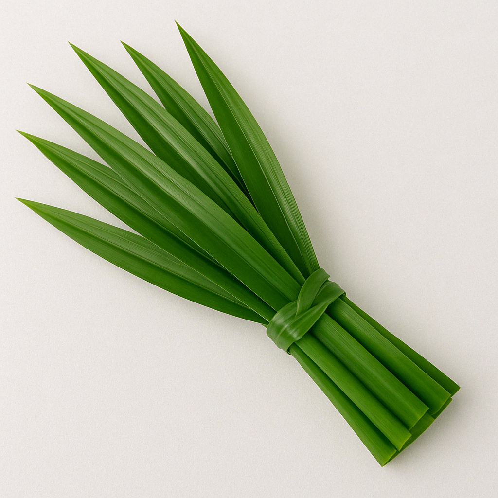 Rampa (Pandan Leaves)