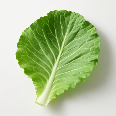 CABBAGE LEAVES