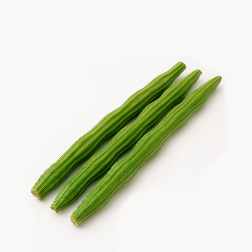 DRUMSTICK