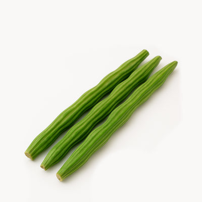 DRUMSTICK
