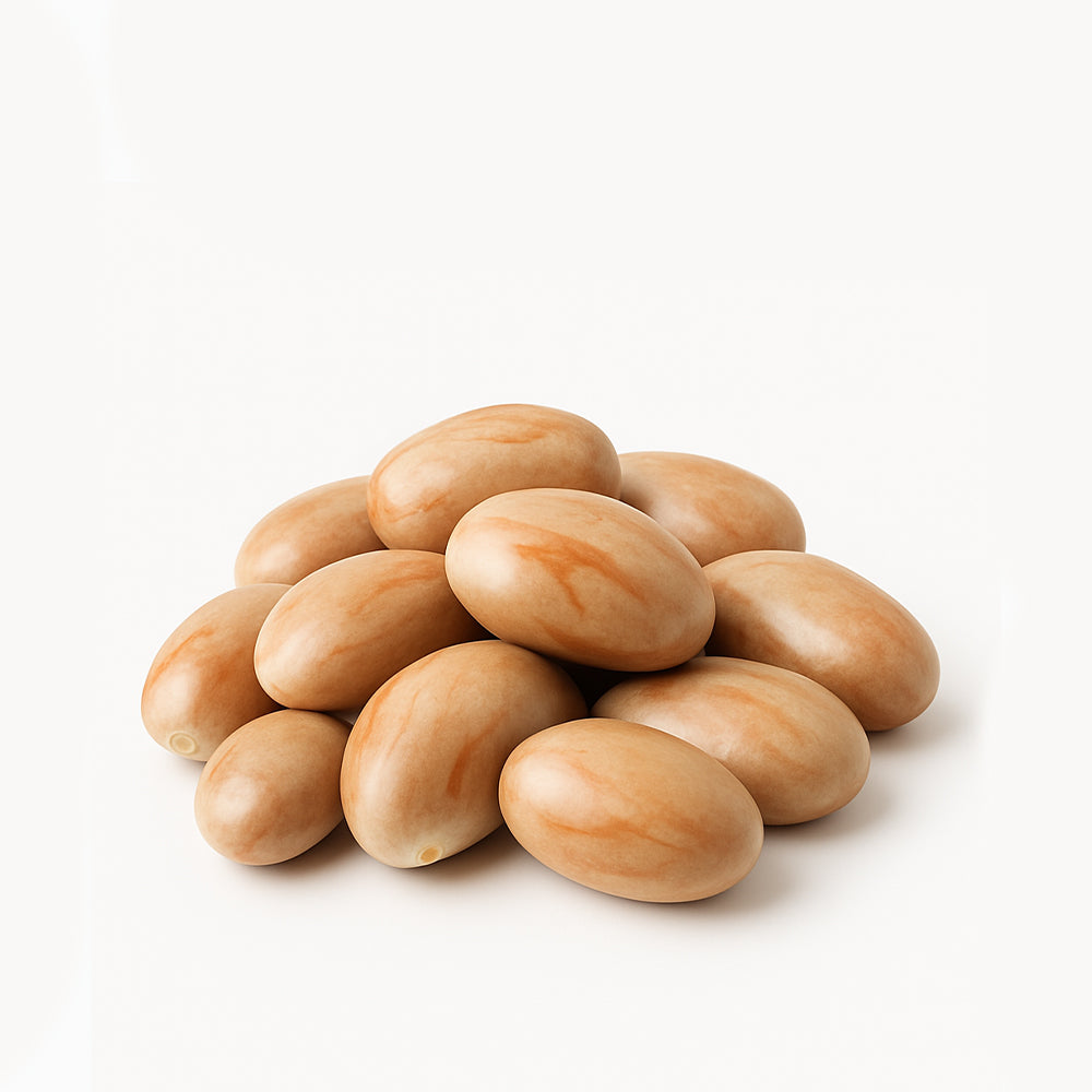 Jackfruit Seed