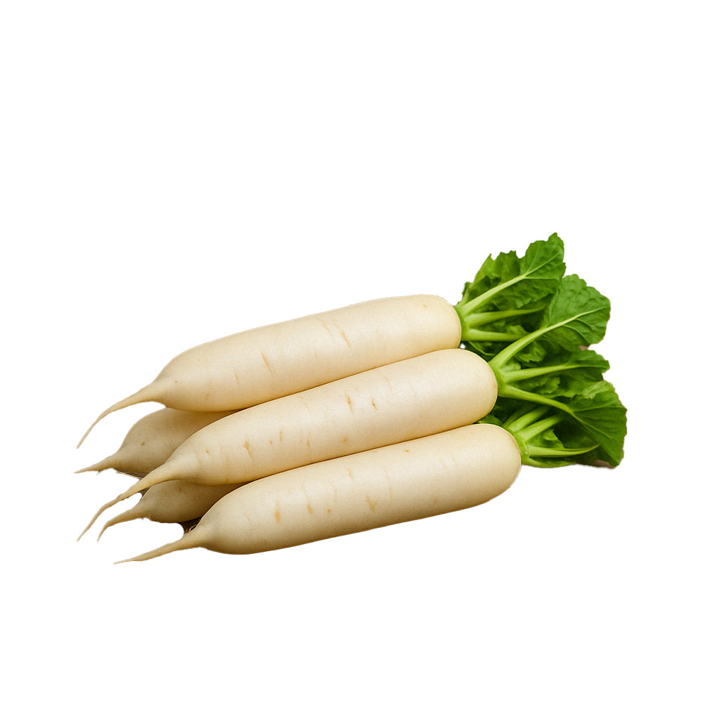 Radish (White Radish // Daikon // Mooli)