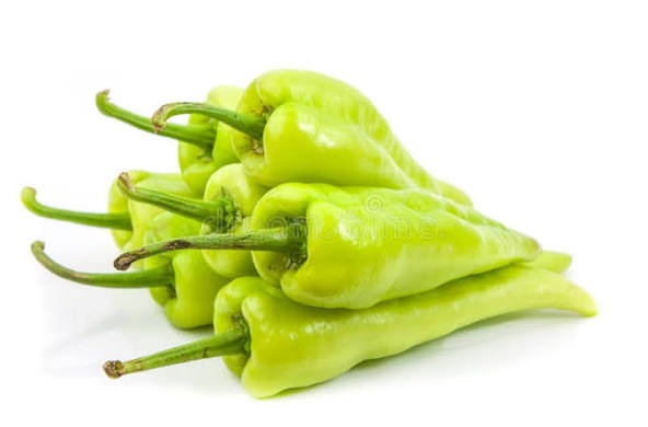 Capsicum