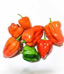 Chilli Kochchi